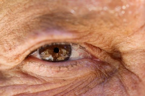 Resized1024ximg 1005